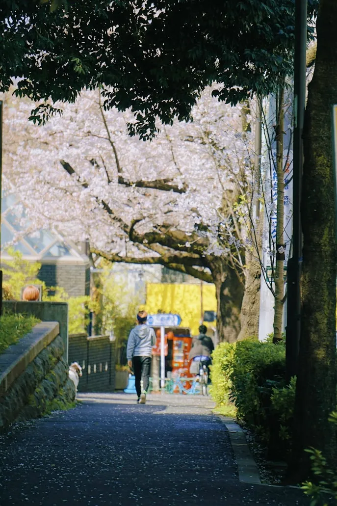 Person walking on path outdoors for fitness exercise