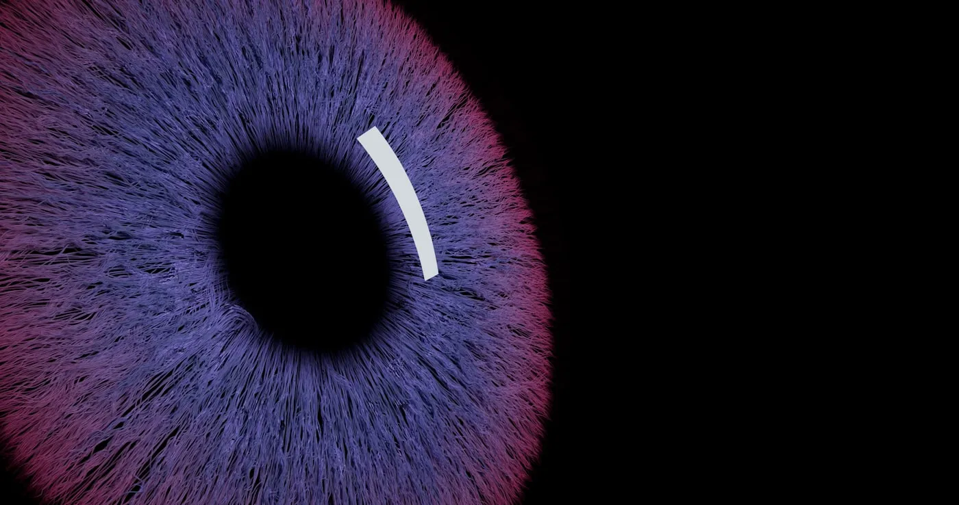 Airport security checkpoint with biometric scanning infrastructure and digital identity verification systems